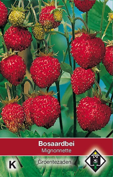 Woodland strawberry Mignonnette (Fragaria) 60 seeds HE